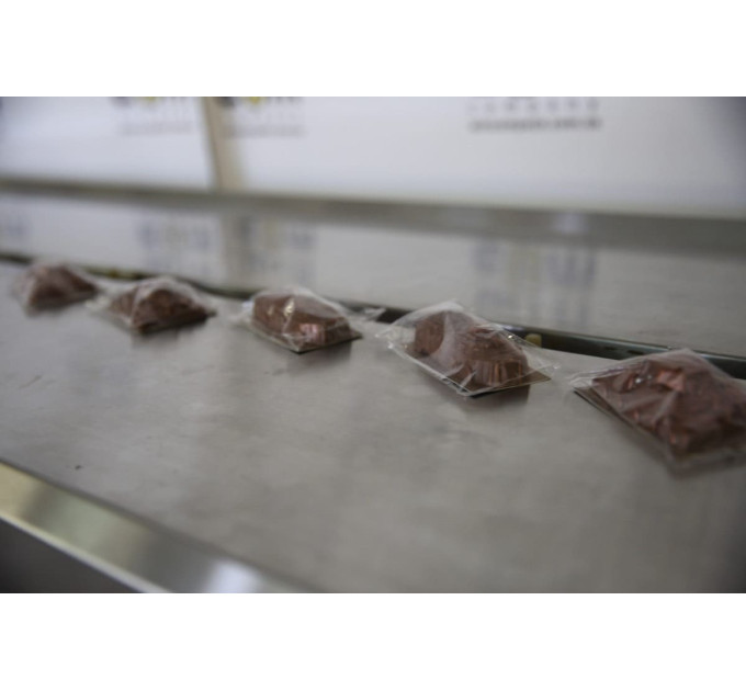 Горизонтальная упаковочная машина Flow-Pack (Флоу-Пак) JY-450F